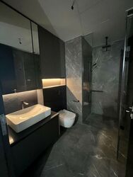 Irwell Hill Residences (D9), Apartment #458494861